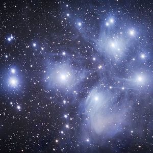 Meet your Posher, Kenneth